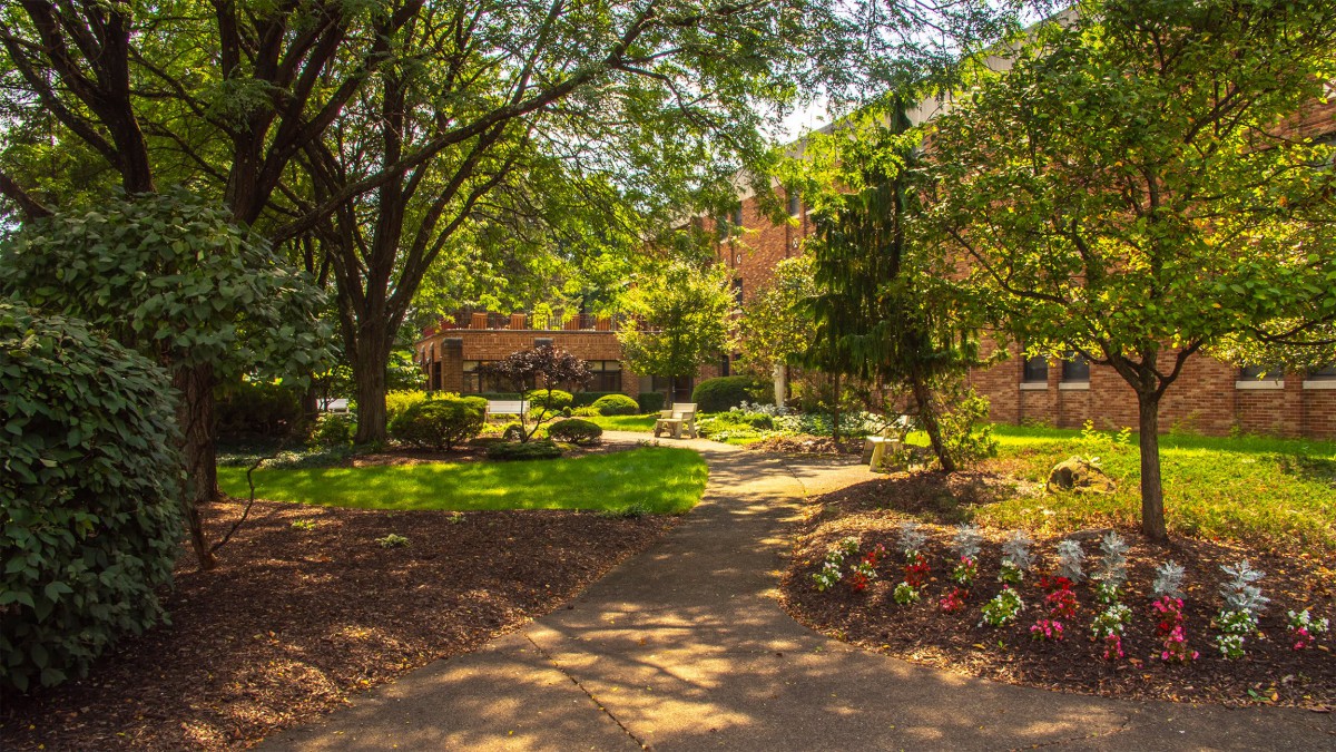 A serene garden scene with a pathway surrounded by lush trees and vibrant flowers under the warm sunlight.