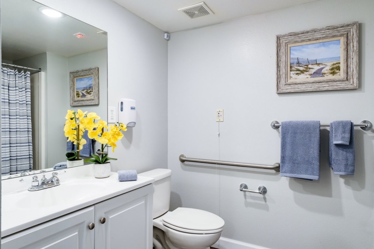 A modern bathroom with a toilet, sink, mirror, and decorative elements.