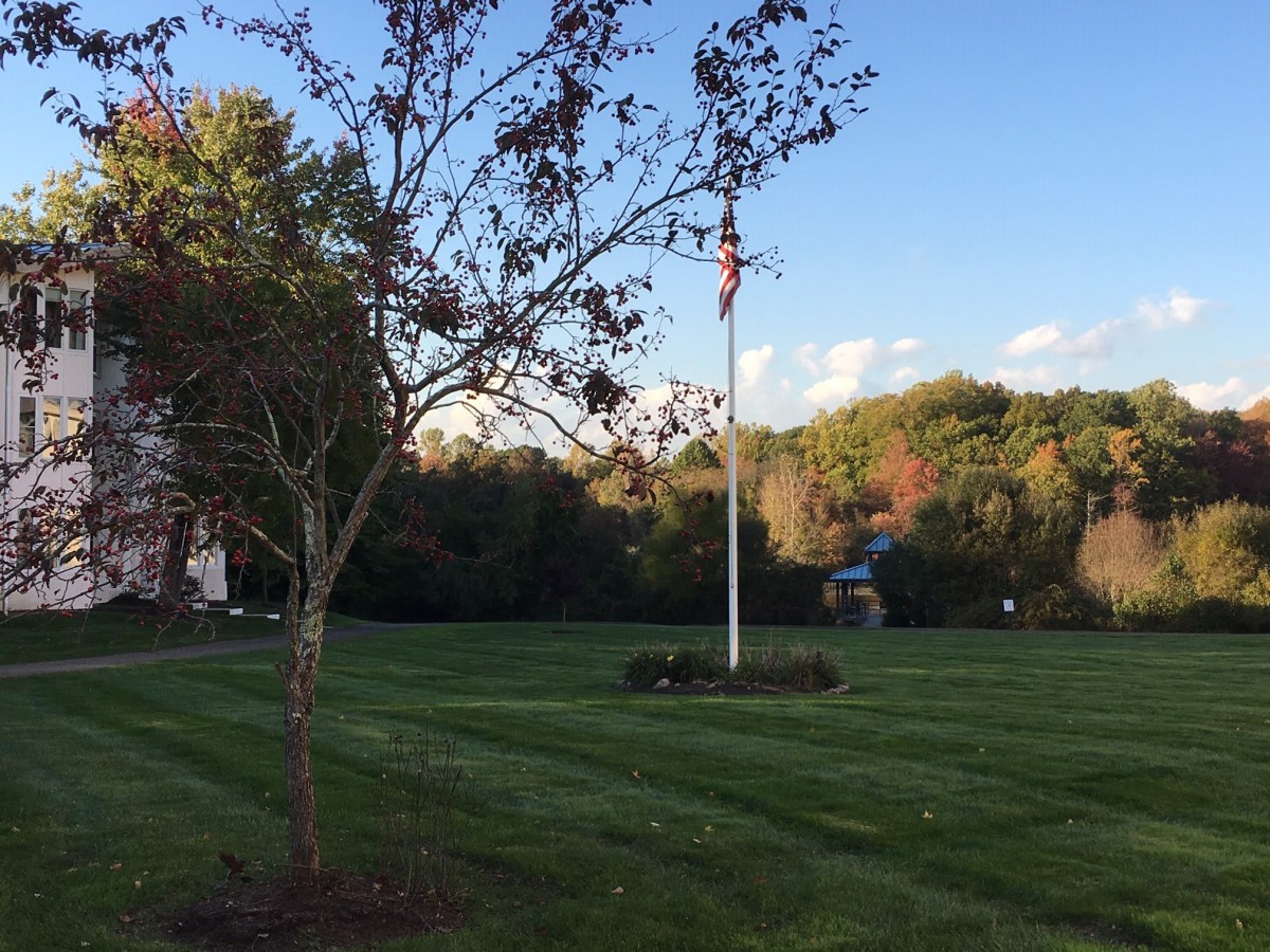 A peaceful suburban lawn featuring a flagpole and a tree under a clear blue sky.