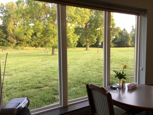 A serene view of a grassy field from a cozy indoor setting, basked in warm sunlight.