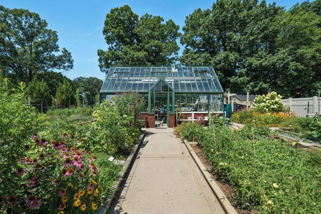 A charming greenhouse surrounded by a lush garden filled with various plants and flowers, under a clear blue sky.