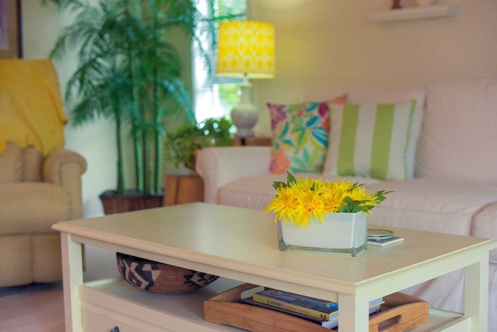 A cozy living room with a coffee table, decorated pillows, and vibrant plants.