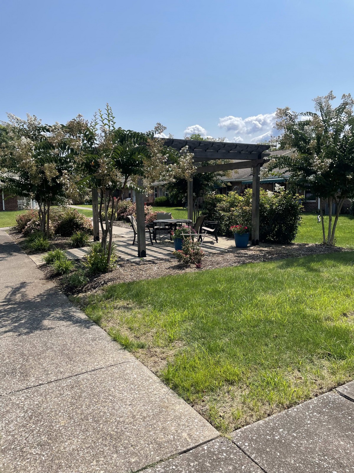 A serene park setting featuring a pergola, surrounded by trees and greenery under a clear blue sky.