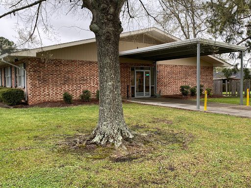 A view of a brick building entrance shaded by a large tree.