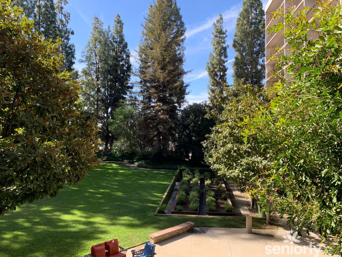A serene garden with lush greenery and tall trees on a sunny day.