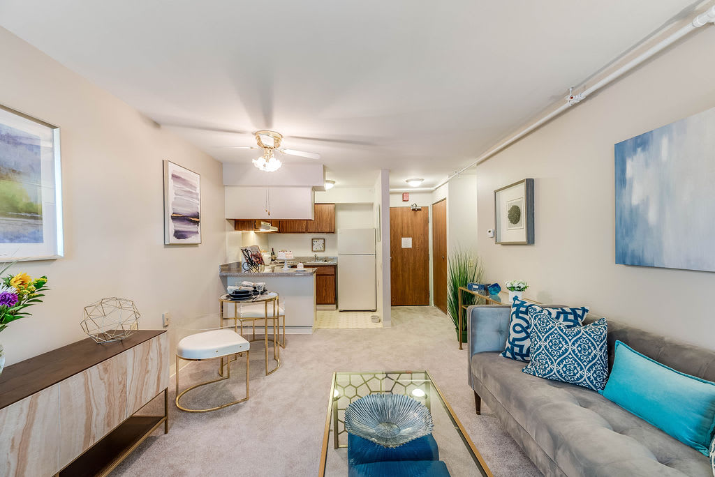 A cozy apartment with an open floor plan featuring a living room and adjacent kitchen area.