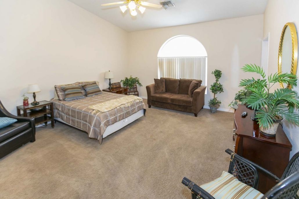 A spacious bedroom featuring a bed, sofa, and potted plants under a large window.