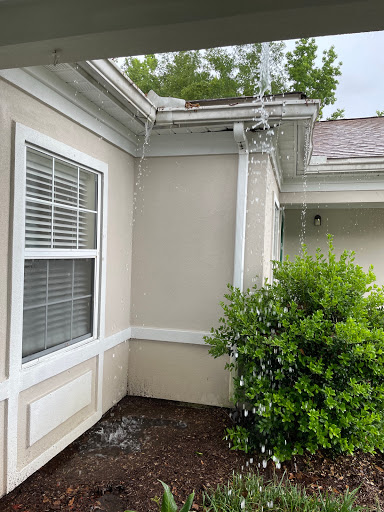 A view of the corner of a house featuring a window and nearby bush.