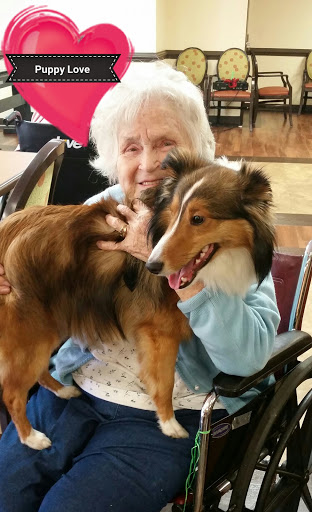 A joyful moment shared between an elderly woman and her friendly collie.