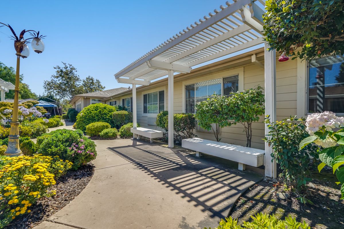 A sunny garden area with a pergola, benches, and well-maintained shrubbery.