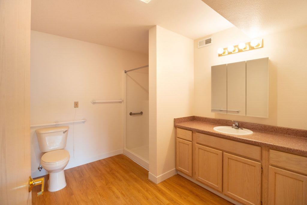 A spacious bathroom with wooden flooring, featuring a sink, mirror, toilet, and shower area.