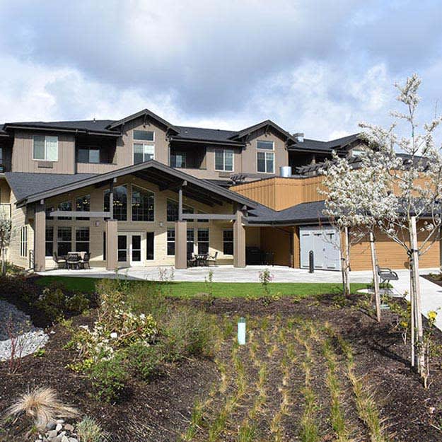 A modern residential home with a well-maintained garden.