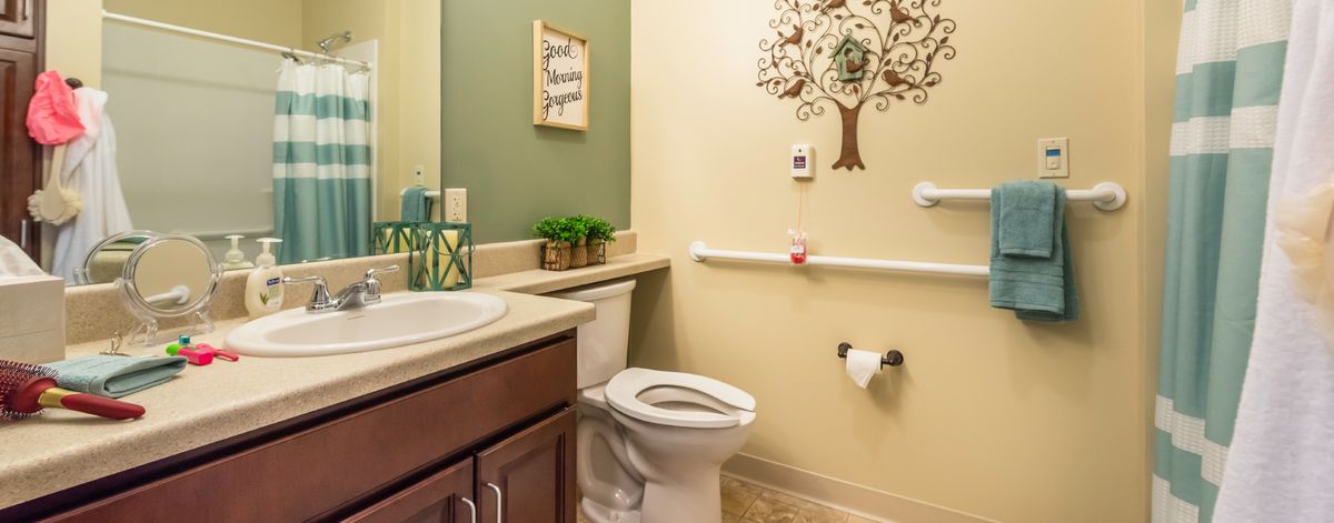 A well-decorated bathroom featuring a toilet, sink, and wall art, with a safety rail installed next to the toilet.