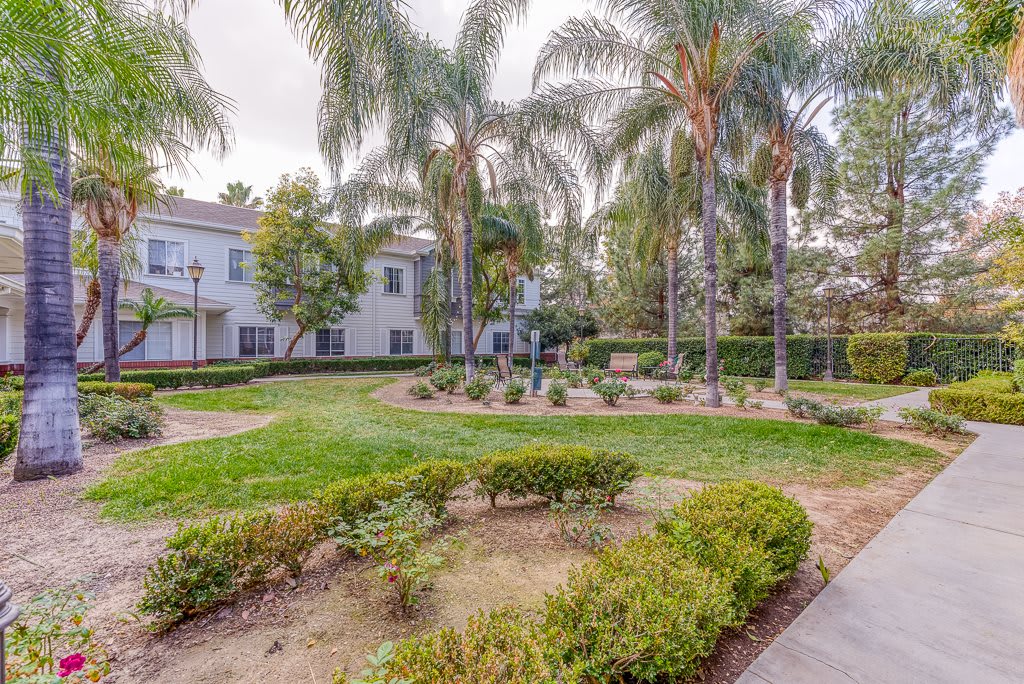 A scenic garden with palm trees, surrounded by a pathway and buildings.