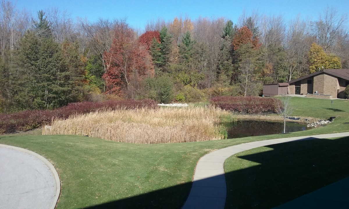 A serene autumn landscape with colorful trees, a grassy field, and a winding pathway leading to a pond.