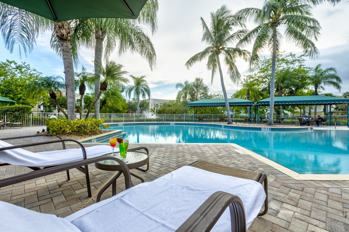 A serene poolside setting with loungers and palm trees, perfect for a tropical getaway.
