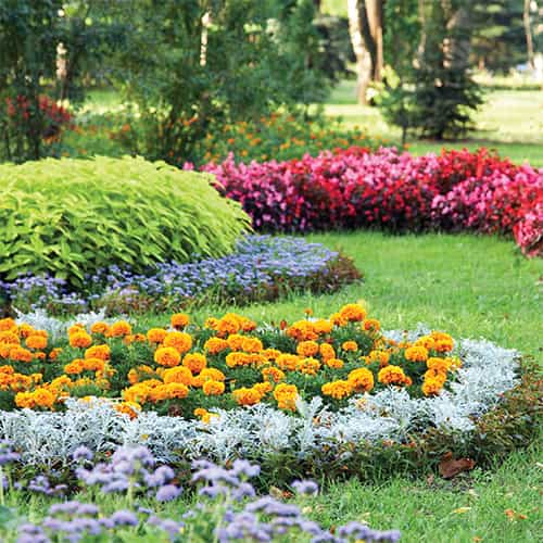 A vibrant garden filled with colorful flowers arranged in beautiful patterns.