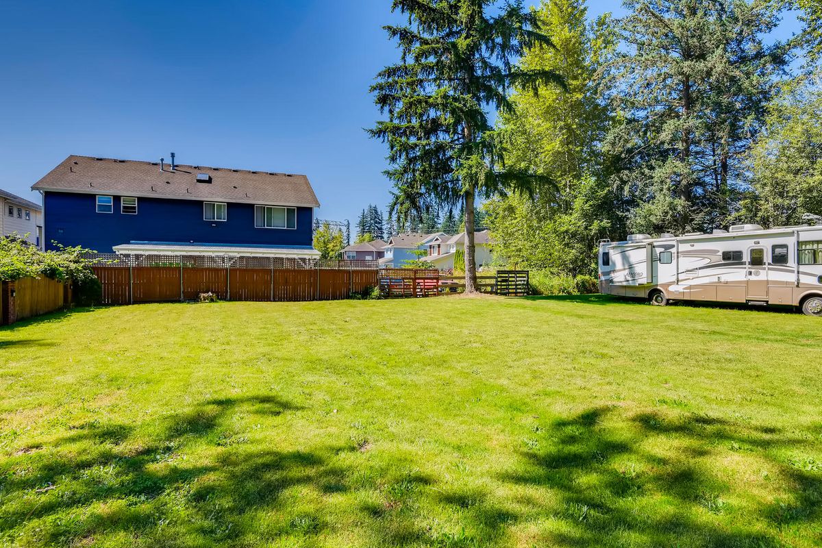 A sunny backyard with green grass, surrounded by a wooden fence and trees.