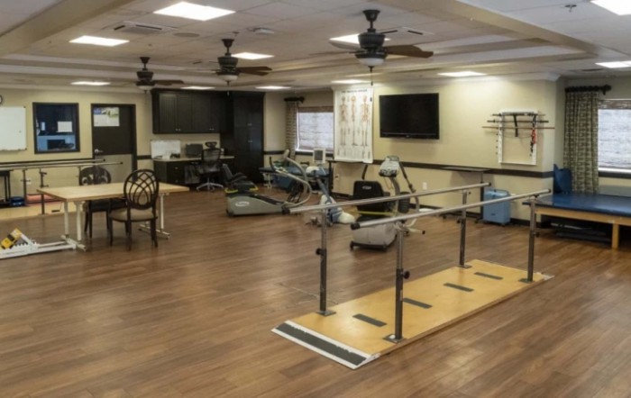 A rehabilitation room equipped with parallel bars and other exercise equipment, featuring a wooden floor and comfortable indoor setting.