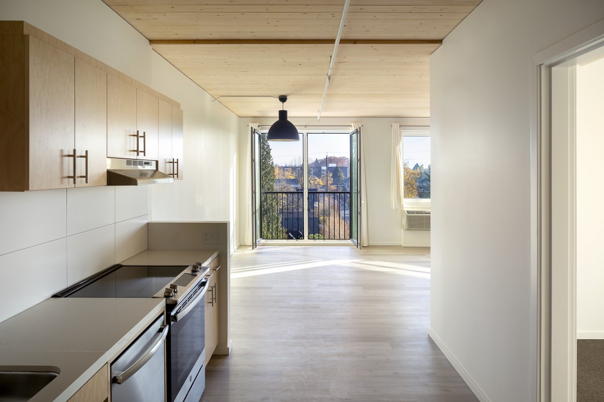 A modern apartment kitchen with ample natural light and wooden accents.