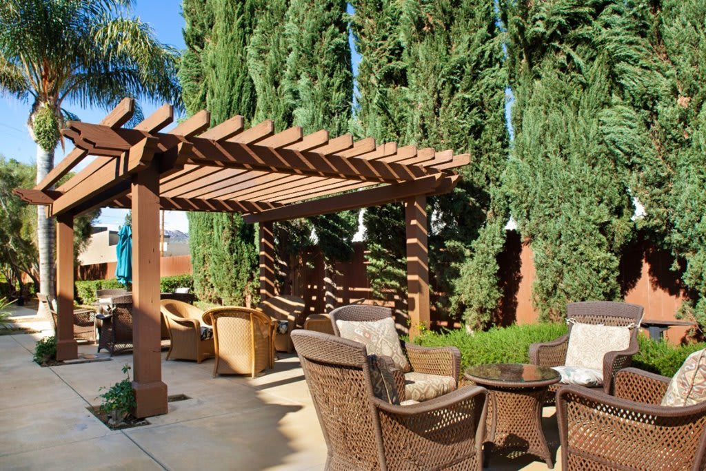 A sunny outdoor patio area with a wooden pergola and comfortable seating surrounded by lush greenery.