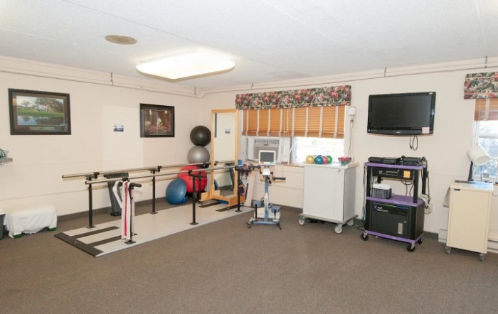 A rehabilitation room equipped with parallel bars, therapy balls, and a television.