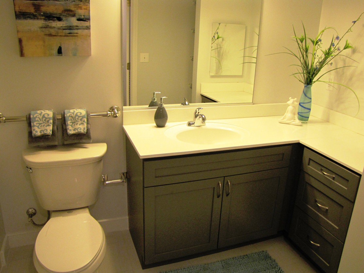A modern bathroom with a sink, toilet, and decorative elements.