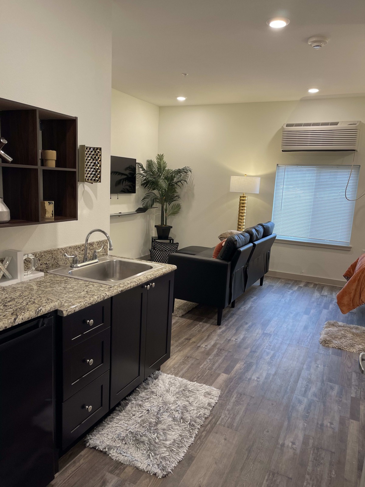 A modern open-concept kitchen and living area with sleek furnishings and decor.