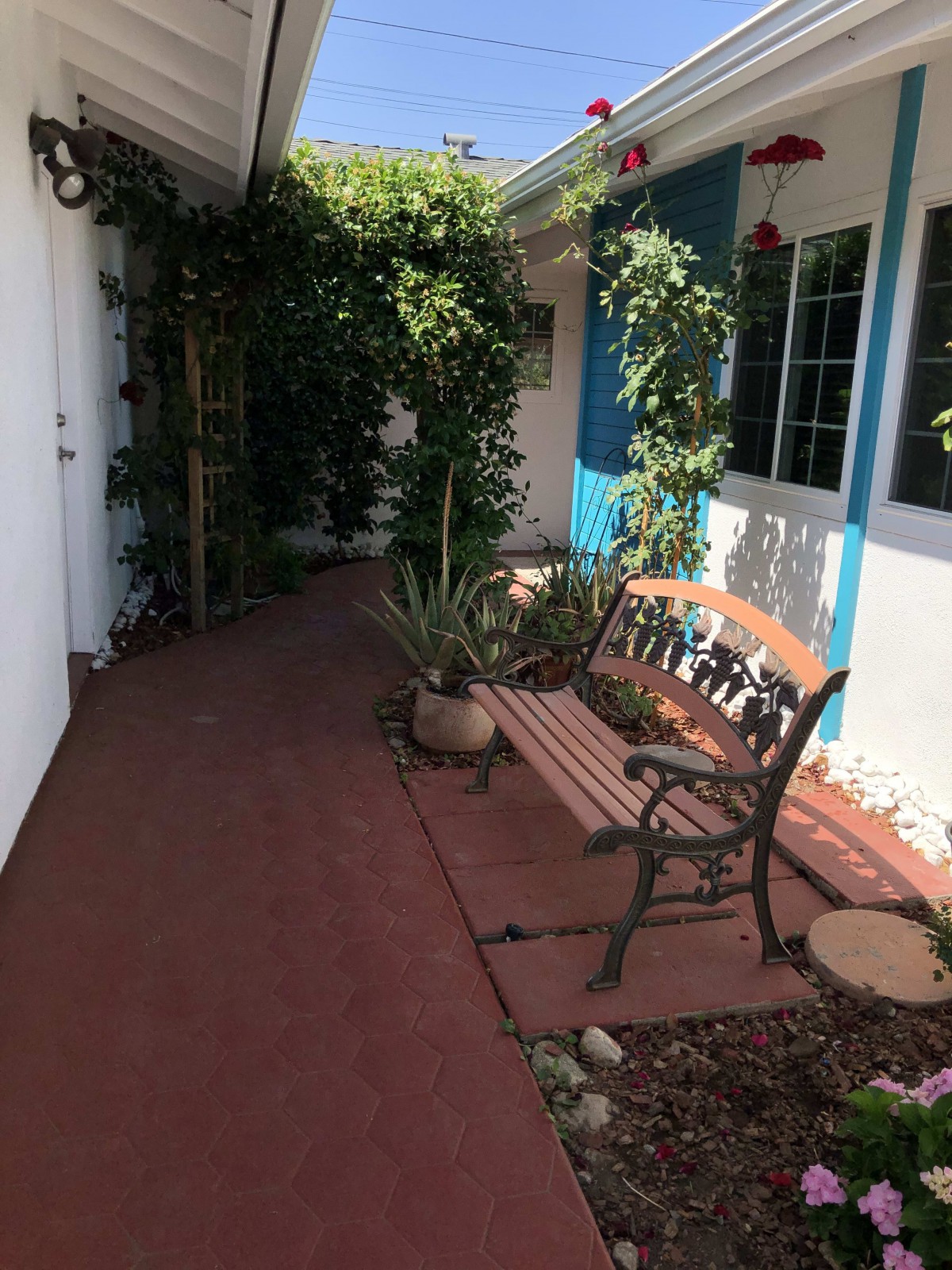 A tranquil outdoor pathway featuring a bench and lush plants.