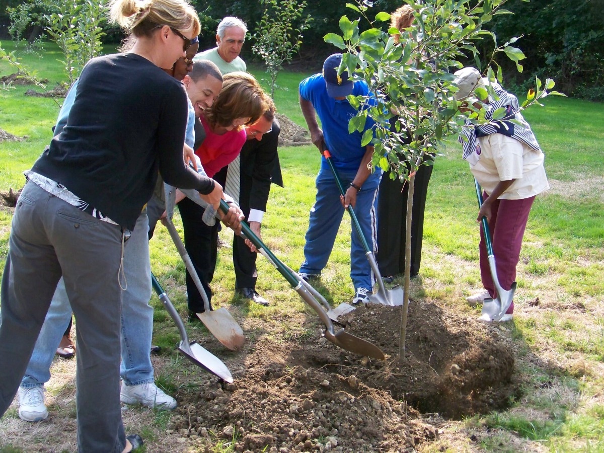 A group of people participating in a tree planting event outdoors.