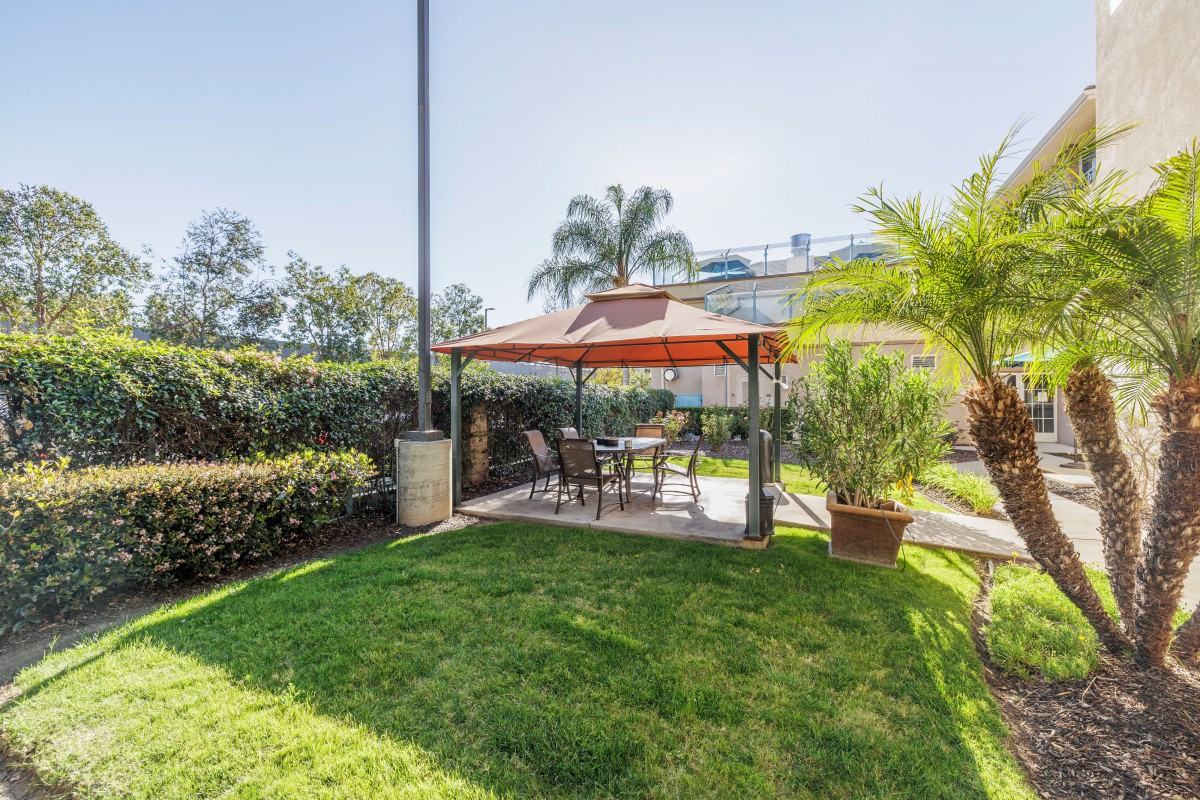 A sunny garden with a gazebo and outdoor seating surrounded by lush greenery.