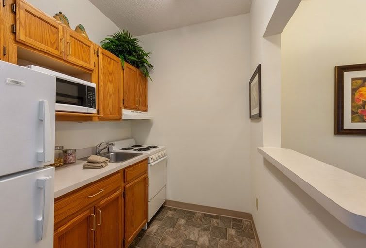 Compact kitchen with wooden cabinets and modern appliances.