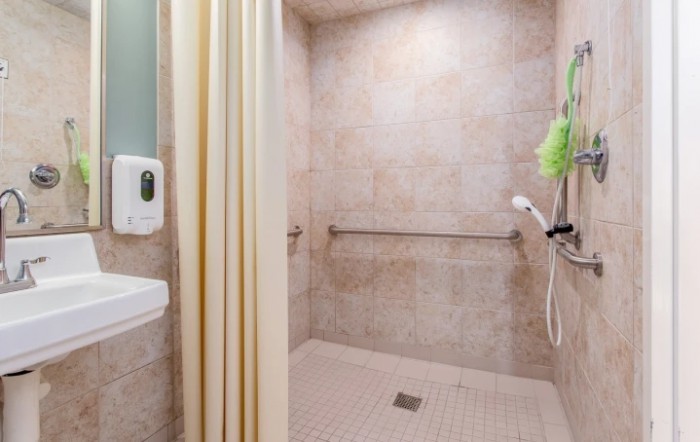 An accessible shower area with handrails and tiled walls.