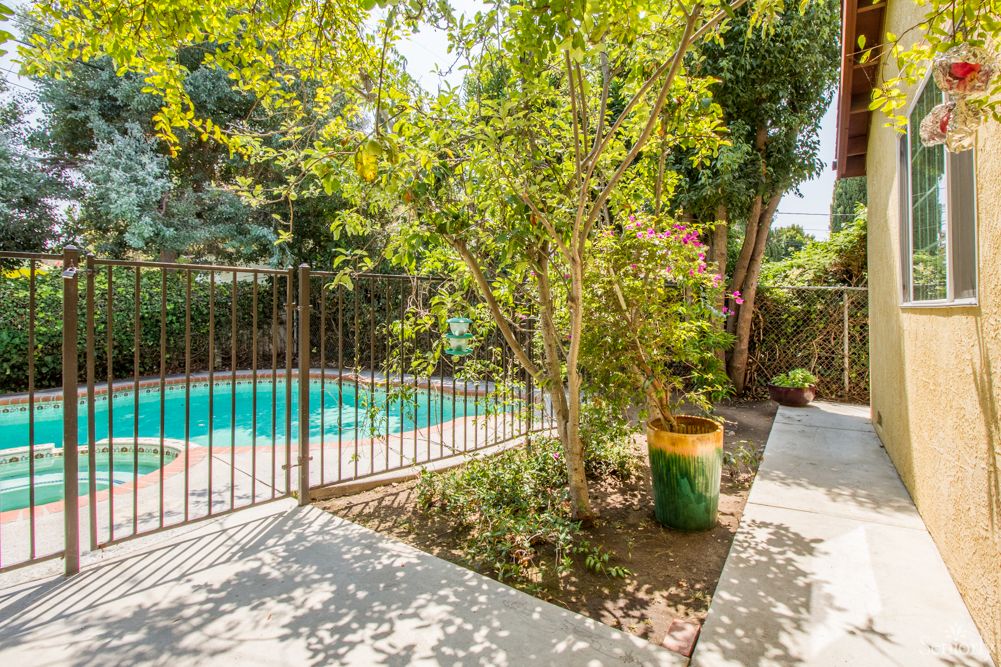 A serene backyard with a swimming pool, surrounded by trees and a secure fence.
