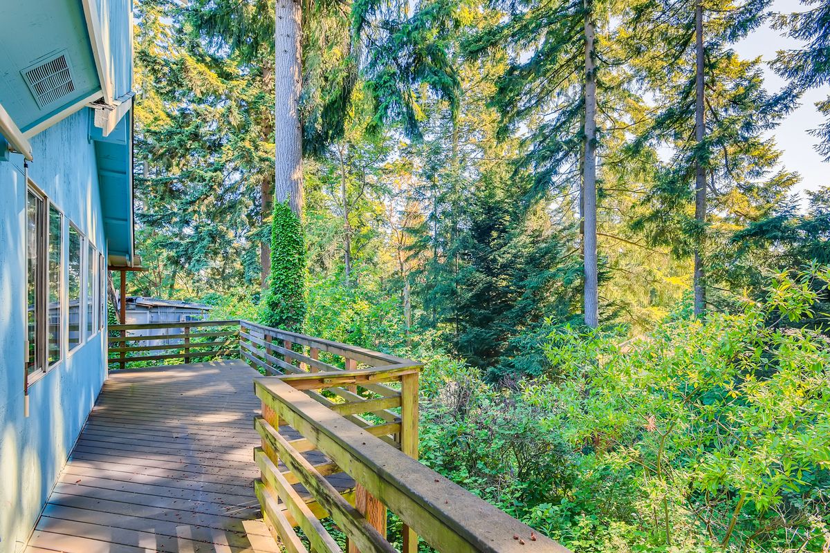A scenic wooden path winds through a lush, green forest.