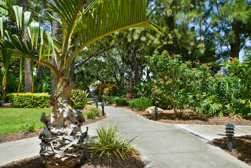 A serene pathway winding through a lush garden filled with vibrant greenery.