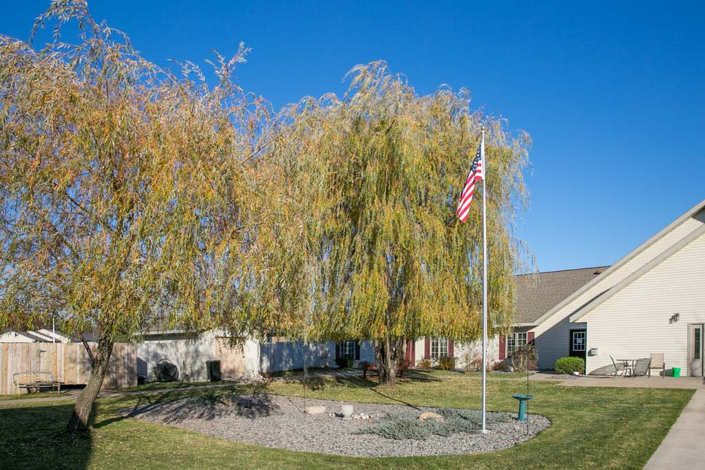 A house with a tree and an American flag in the yard on a clear day.