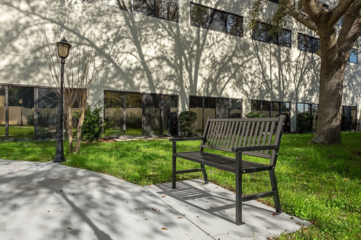 A solitary bench sits on a shaded sidewalk outside a building, with shadows of trees cast on the ground.