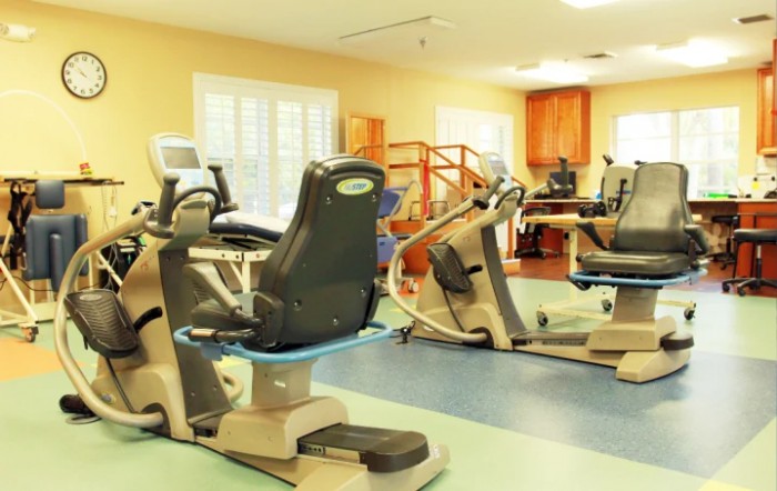 A fitness center with various exercise machines and cardio equipment.
