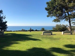 A serene park with benches overlooking the ocean.