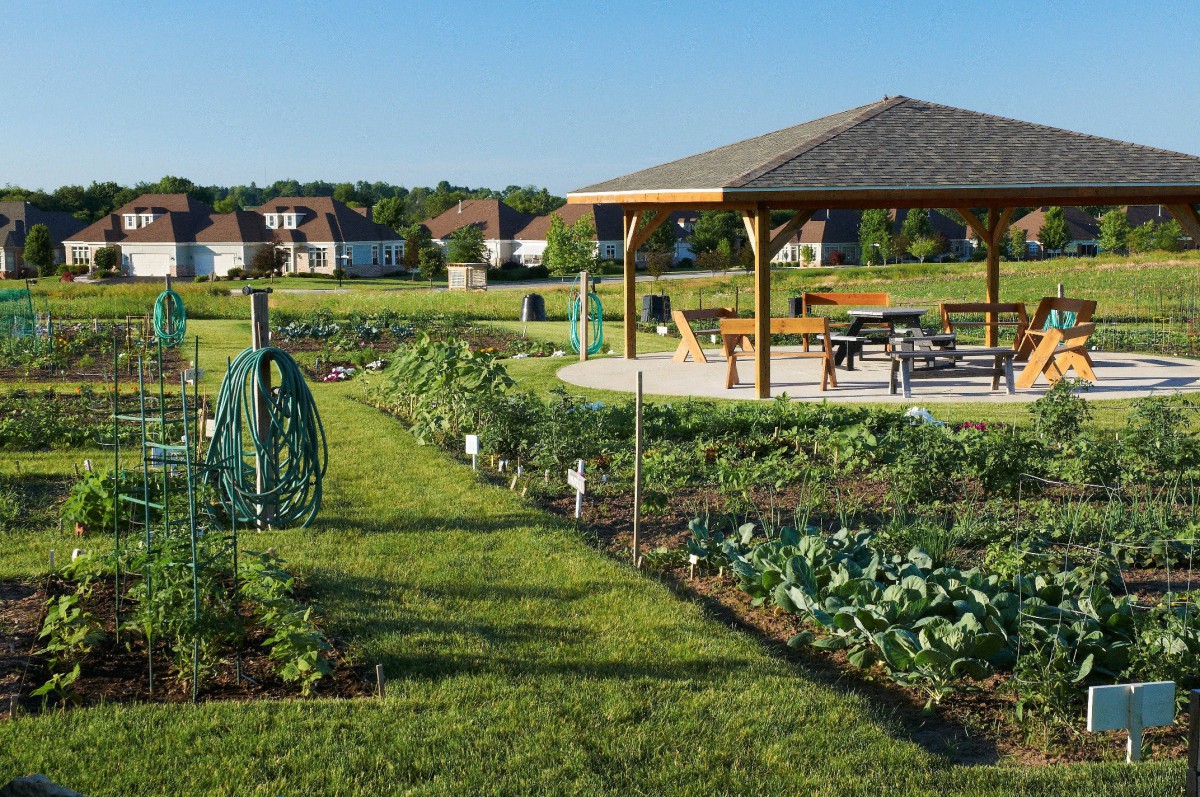 A lush community garden with a wooden pavilion under a clear blue sky.