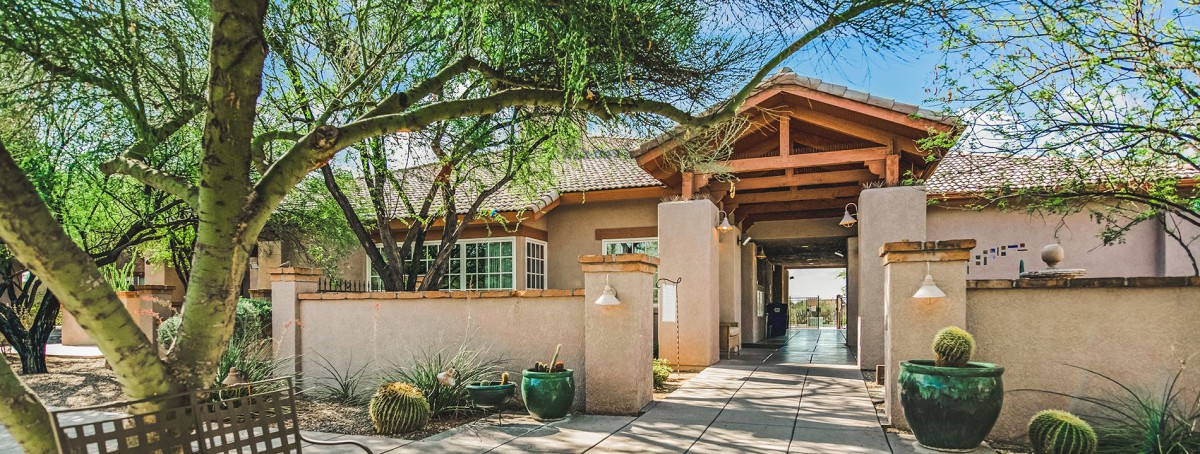 A modern desert home with a tree and spacious entrance.