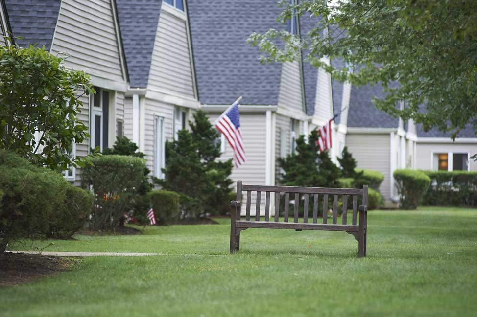 A suburban neighborhood with neatly manicured lawns and American flags displayed.