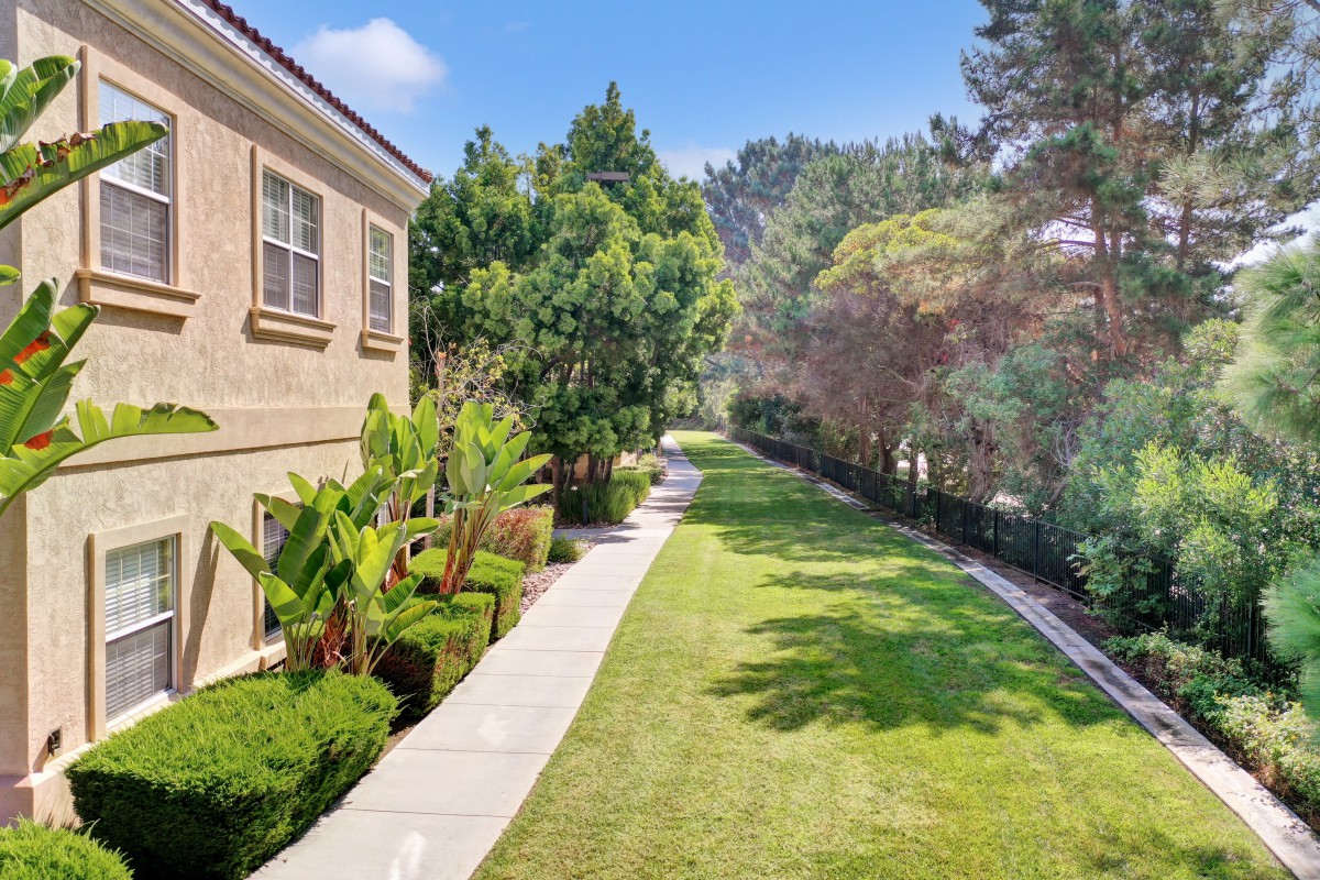 A peaceful residential area with a sidewalk bordered by a lawn and lush greenery.
