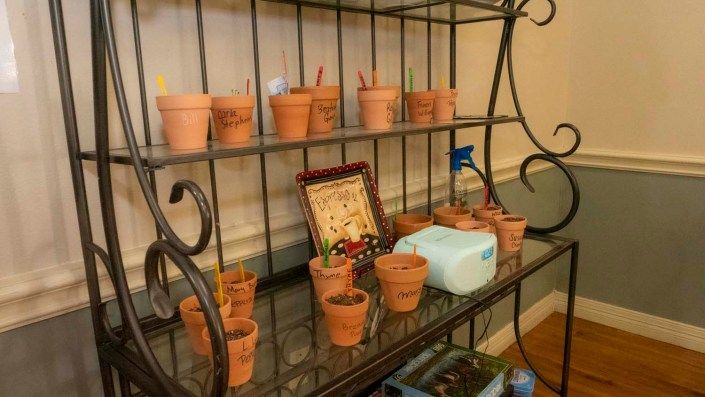 A collection of small terracotta pots with plants displayed on a decorative metal shelf.