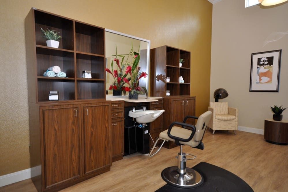 A stylish salon interior featuring a hair wash station, wooden cabinets with shelves, and decorative plants.
