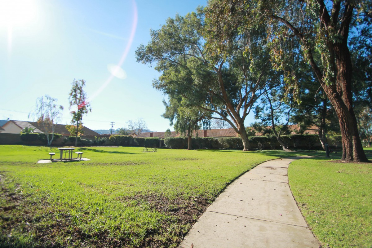 A sunny day in a park with a winding pathway and lush green trees.