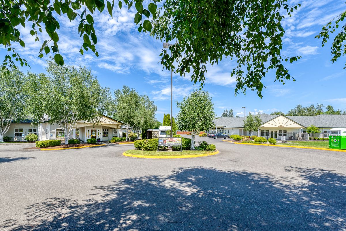 A sunny day featuring a circular driveway surrounded by trees and buildings.