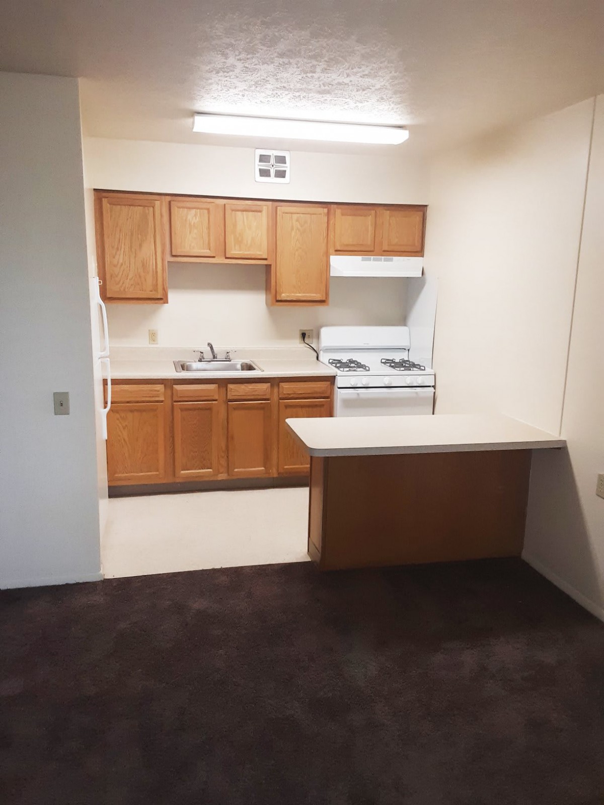 Small apartment kitchen with wooden cabinets and a countertop.