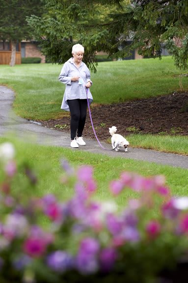 An elderly woman enjoys a leisurely walk with her dog in a park.